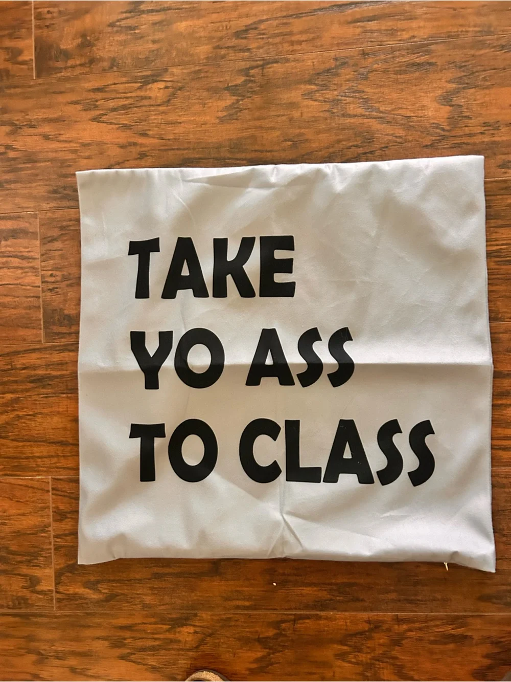 Fun dorm pillow case cover “Call Your Mom”  “get your ass to class” NWOT